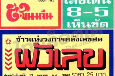 หวยซอง หวยผังเลข-170165