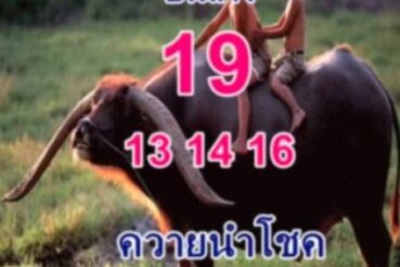 หวยซอง หวยพี่ควายคนโก้-161264