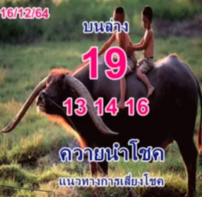 หวยซอง หวยพี่ควายคนโก้-161264