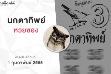 หวยนกตาทิพย์-010265