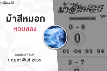 หวยม้าสีหมอก-010265
