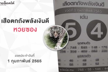 หวยเสือตกถังพลังเงินดี-010265