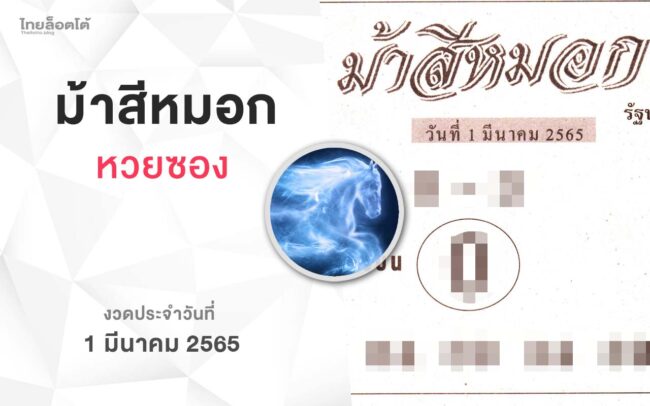 หวยม้าสีหมอก-010365