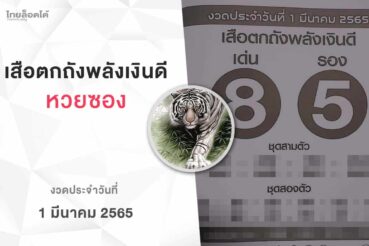 หวยเสือตกถังพลังเงินดี-010365
