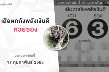 หวยเสือตกถังพลังเงินดี-170265