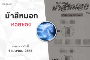 หวยม้าสีหมอก-010465