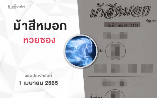 หวยม้าสีหมอก-010465