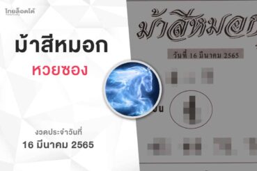 หวยม้าสีหมอก-160365