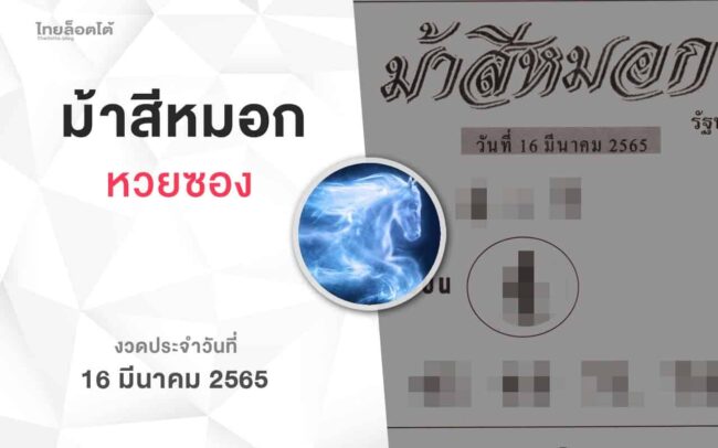 หวยม้าสีหมอก-160365
