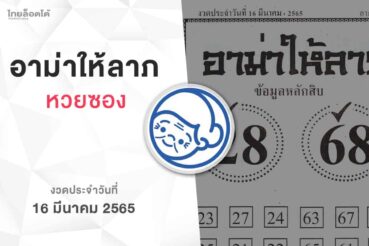 หวยอาม่าให้ลาภ-160365
