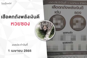 หวยเสือตกถังพลังเงินดี-010465