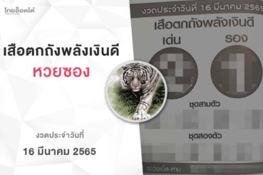 หวยเสือตกถังพลังเงินดี-160365