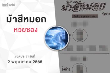 หวยม้าสีหมอก-020565