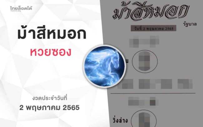 หวยม้าสีหมอก-020565