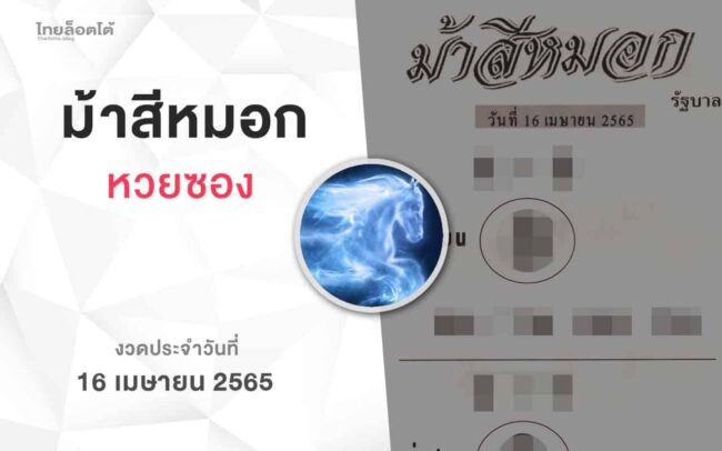 หวยม้าสีหมอก-160465