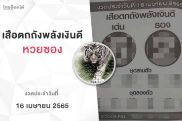 หวยเสือตกถังพลังเงินดี-160465