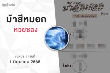 หวยม้าสีหมอก-010665