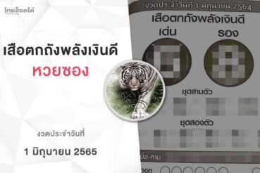 หวยเสือตกถังพลังเงินดี-010665
