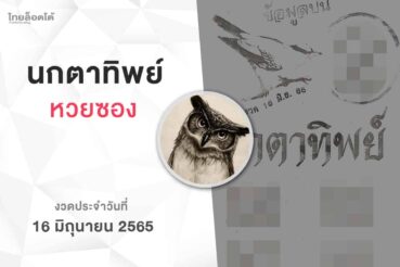 หวยนกตาทิพย์-160665