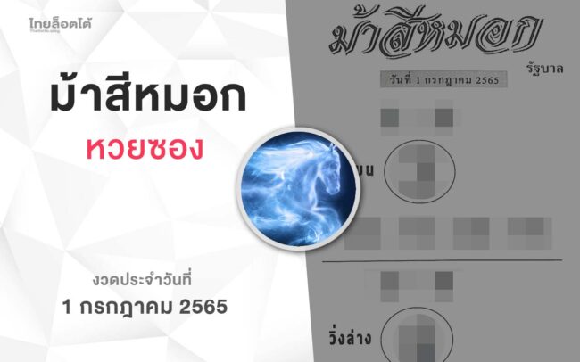 หวยม้าสีหมอก-010765