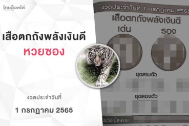 หวยเสือตกถังพลังเงินดี-010765
