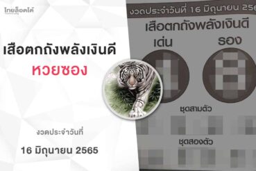 หวยเสือตกถังพลังเงินดี-160665