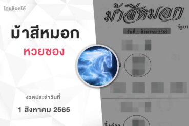 หวยม้าสีหมอก-010865