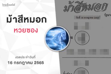 หวยม้าสีหมอก-160765
