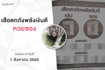 หวยเสือตกถังพลังเงินดี-010865