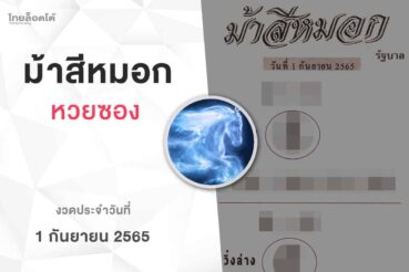 หวยม้าสีหมอก-010965