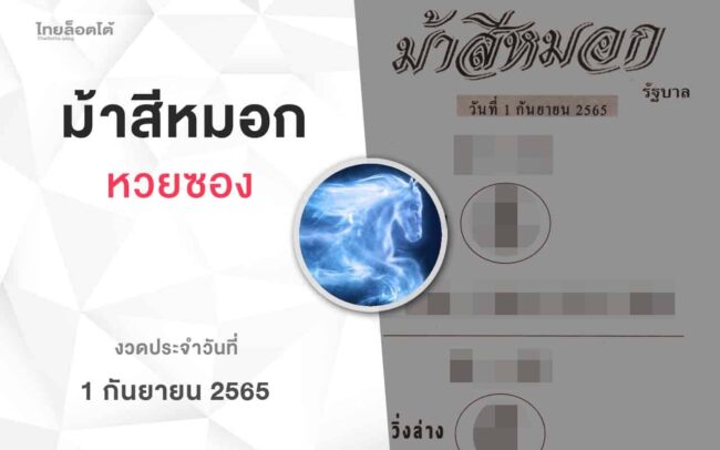 หวยม้าสีหมอก-010965
