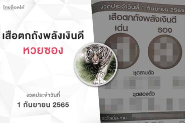 หวยเสือตกถังพลังเงินดี-010965