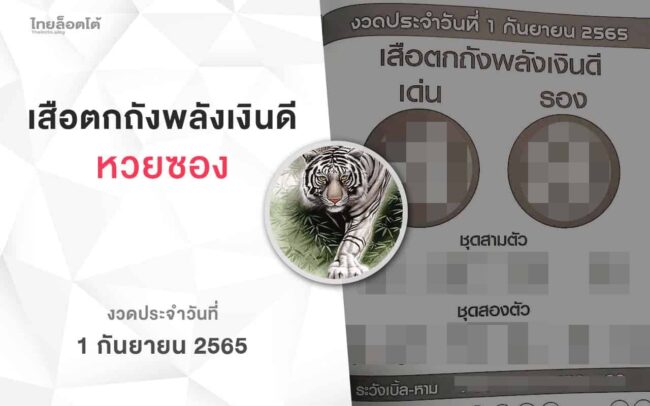หวยเสือตกถังพลังเงินดี-010965