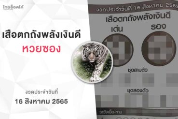 หวยเสือตกถังพลังเงินดี-160865