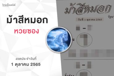 หวยม้าสีหมอก-011065