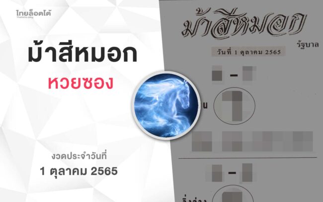 หวยม้าสีหมอก-011065