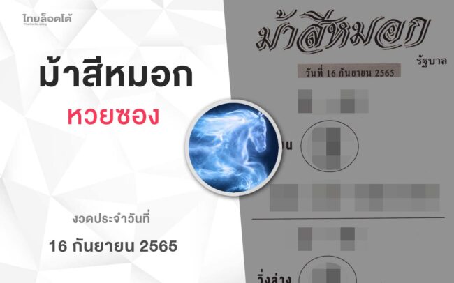 หวยม้าสีหมอก-160965