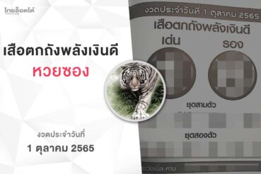 หวยเสือตกถังพลังเงินดี-011065