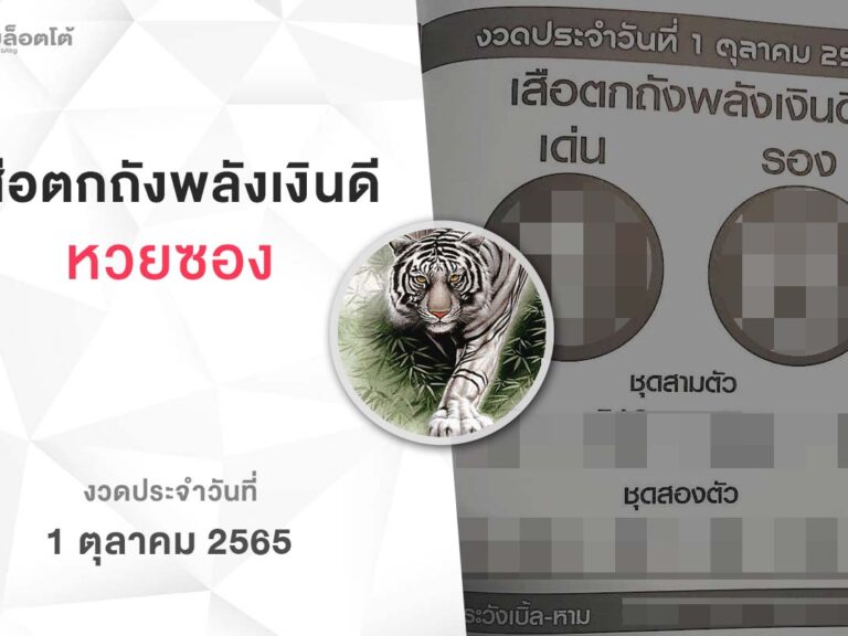 หวยเสือตกถังพลังเงินดี-011065