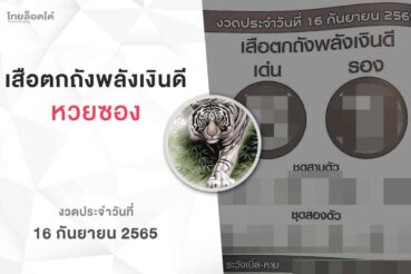 หวยเสือตกถังพลังเงินดี-160965