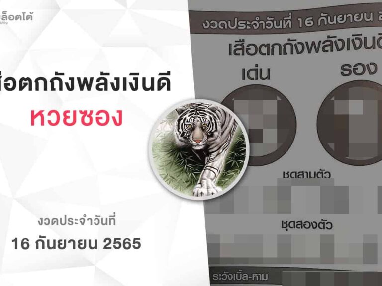หวยเสือตกถังพลังเงินดี-160965