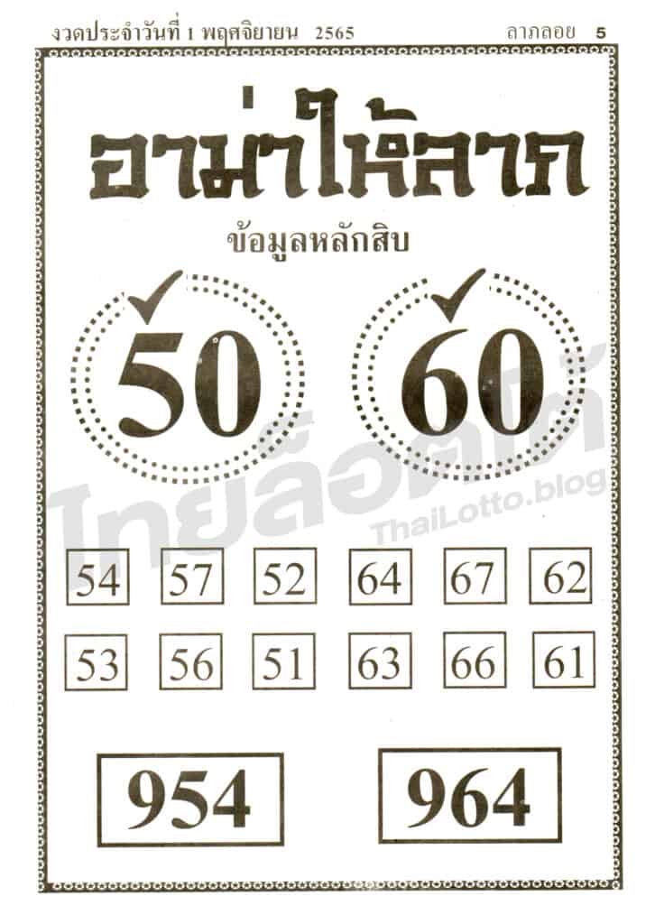 หวยซอง หวยอาม่าให้ลาภ-011165