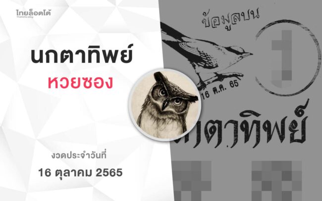 หวยนกตาทิพย์-161065