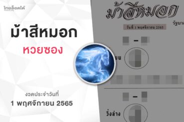 หวยม้าสีหมอก-011165