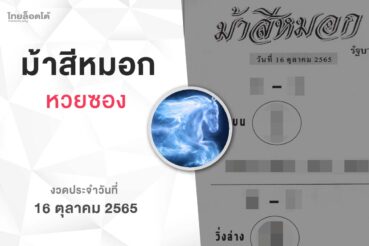 หวยม้าสีหมอก-161065