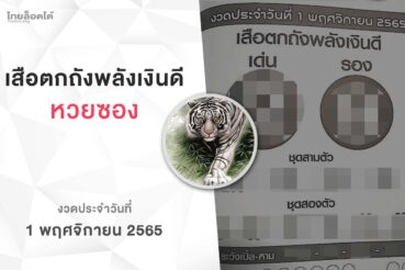 หวยเสือตกถังพลังเงินดี-011165