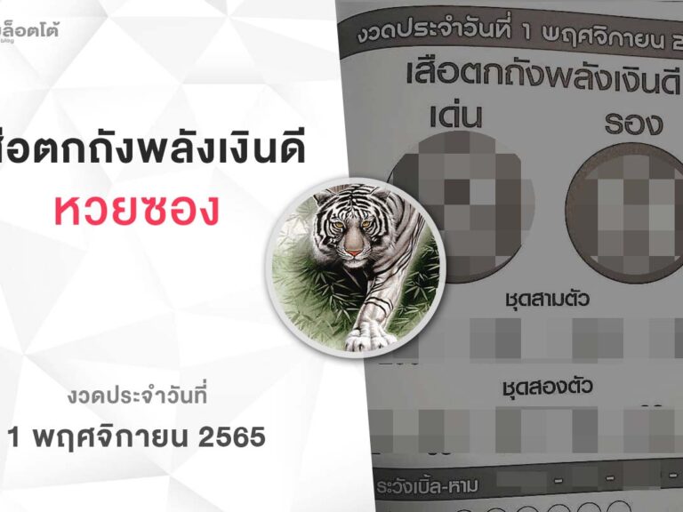 หวยเสือตกถังพลังเงินดี-011165