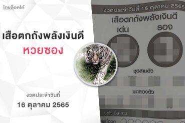 หวยเสือตกถังพลังเงินดี-161065