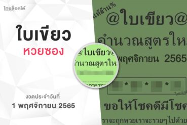 หวยใบเขียว-011165