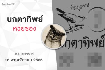 หวยนกตาทิพย์-161165